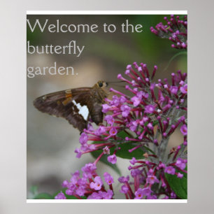 Poster Welcome to the Butterfly Garden Poster--Skipper