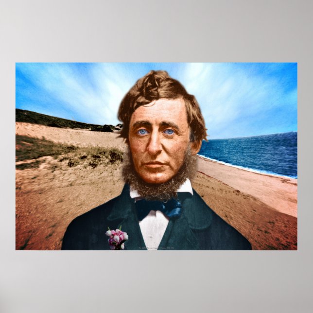 Poster WellFrota Penman (Frente)