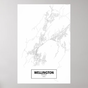 Pôster Wellington, Nova Zelândia (preto no branco)