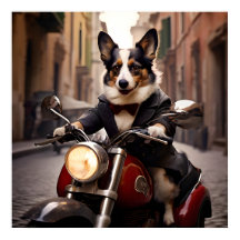 Welsh Corgi correndo pelas ruas de Roma em um Vesp