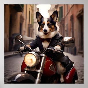 Poster Welsh Corgi correndo pelas ruas de Roma em um Vesp