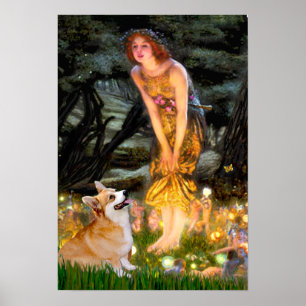 Pôster Welsh Corgi Pembroke - Mideve