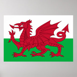 Poster Welsh Dragon ~ Flag of Wales