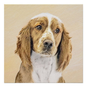 Pôster Welsh Springer Spaniel Painting - Arte Original De