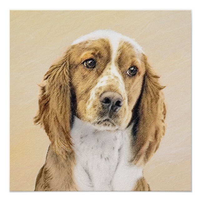 Pôster Welsh Springer Spaniel Painting - Arte Original De (Frente)