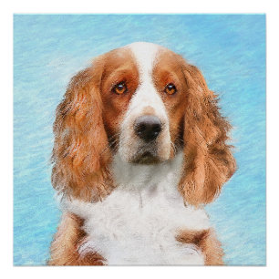 Pôster Welsh Springer Spaniel Painting - Arte Original De