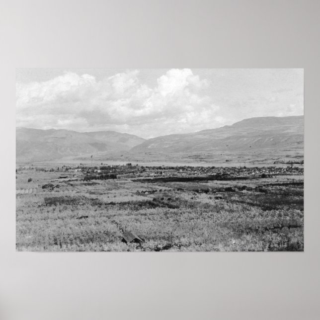 Pôster Wenatchee, WA Town View e Orchard Fotografia (Frente)