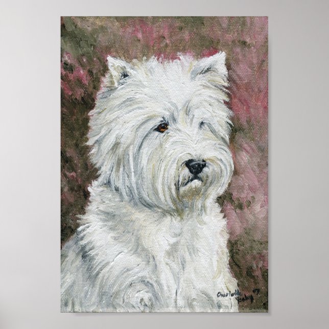 Pôster "West Highland Terrier" Canvas de Arte Cachoreira (Frente)