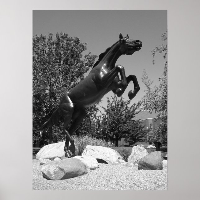 Poster Western Michigan University, Kalamazoo, MI (Frente)