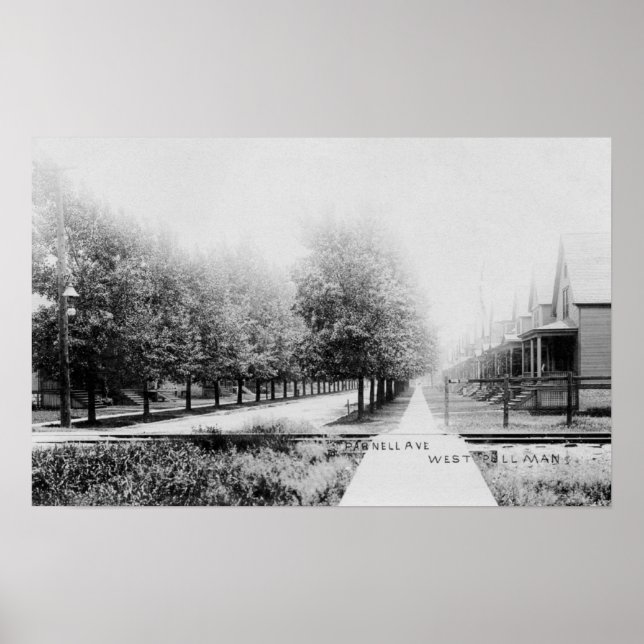 Poster Western View da Avenida Parnell (Frente)