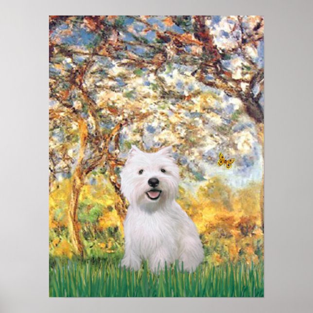 Pôster Westie 2 - Primavera (Frente)