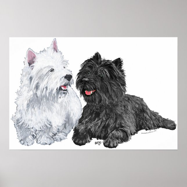 Poster Westie com um Cairn Terrier preto (Frente)
