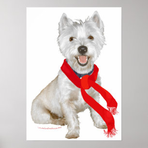 Poster Westie de Inverno com um Cachecol Vermelho