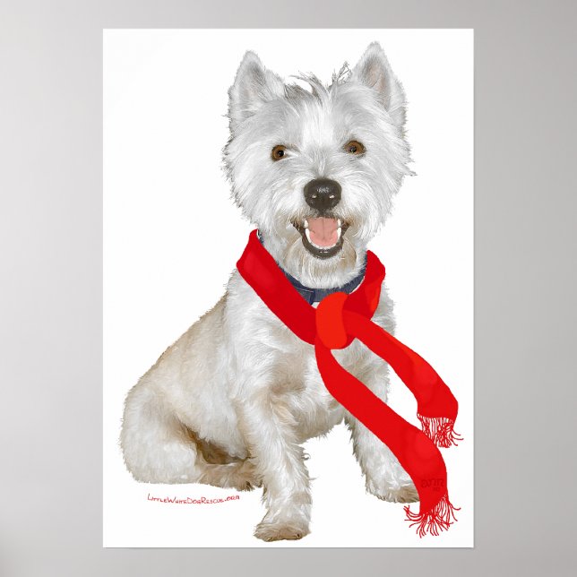 Poster Westie de Inverno com um Cachecol Vermelho (Frente)