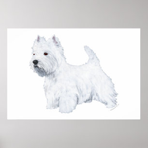Pôster Westie em pé