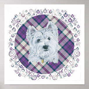 Poster Westie em Tartan
