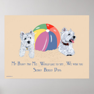 Pôster Westies com um Cartaz de Bola de Praia