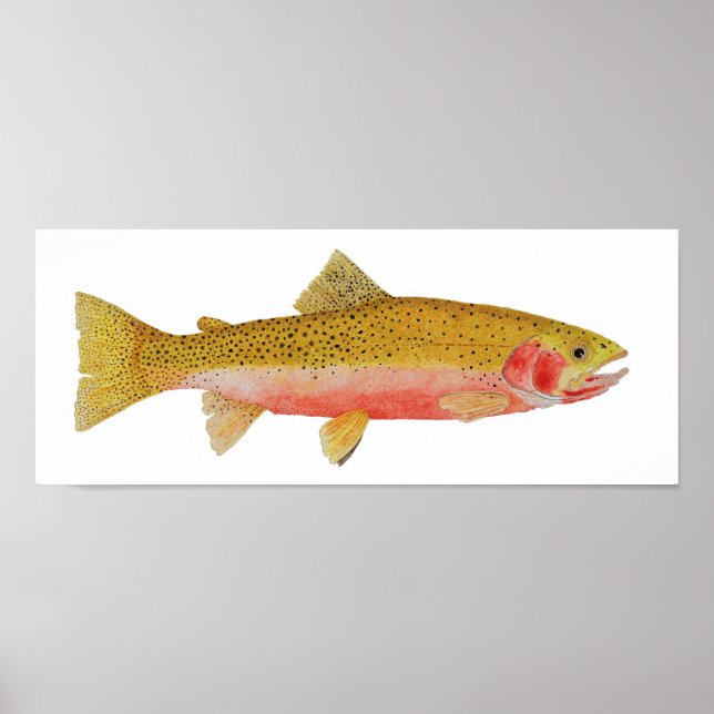 Pôster Westslope Cutthroat Trout Watercolor (Frente)