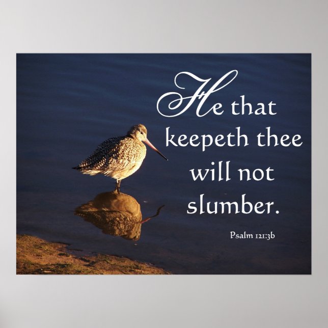 Poster Wetlands Bird God Will Keep You Print (Frente)