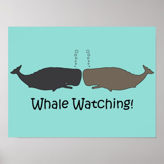 Poster Whale Watching Fun (Frente)