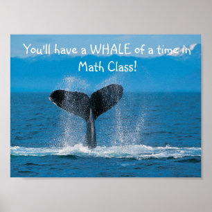 Pôster WhaleMath