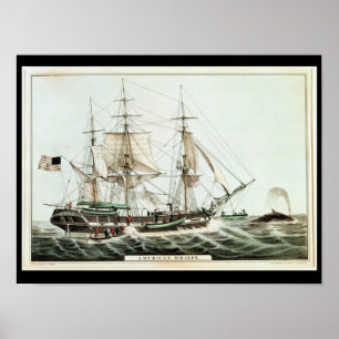 Poster Whaler americano, gravado pelo Currier de