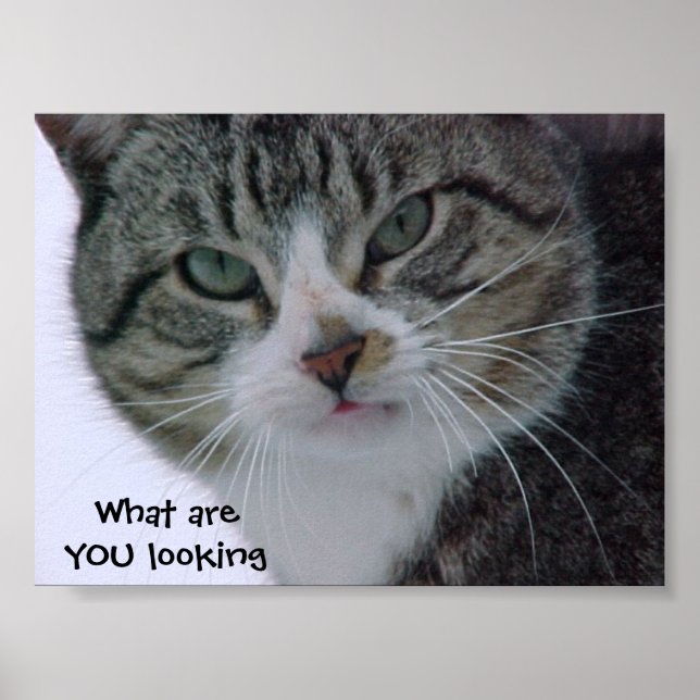 Pôster What are YOU looking at?!?! (Frente)