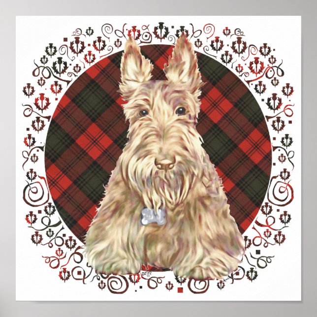 Pôster Wheaten Scottie Tartan (Frente)