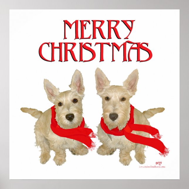 Poster Wheaten Scottish Terrier Chirstmas (Frente)