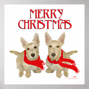 Poster Wheaten Scottish Terrier Natal