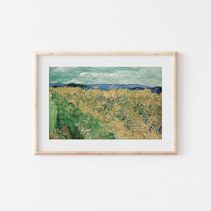 Poster Wheatfield com Cornflower   Vincent van Gogh
