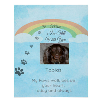 Pôster Where Love Still Shines Through