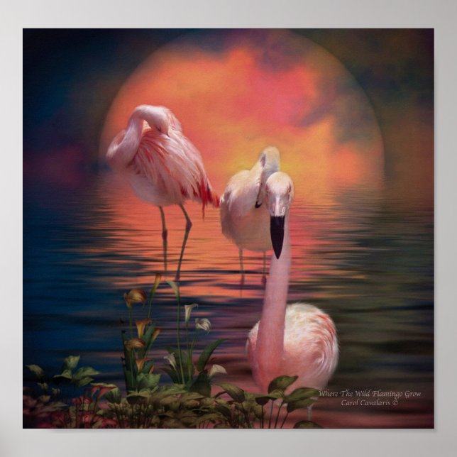 Pôster Where The Wild Flamingo Grow Poster/Print (Frente)