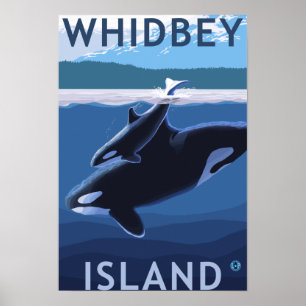 Pôster Whidbey Island, WashingtonOrca and Calf