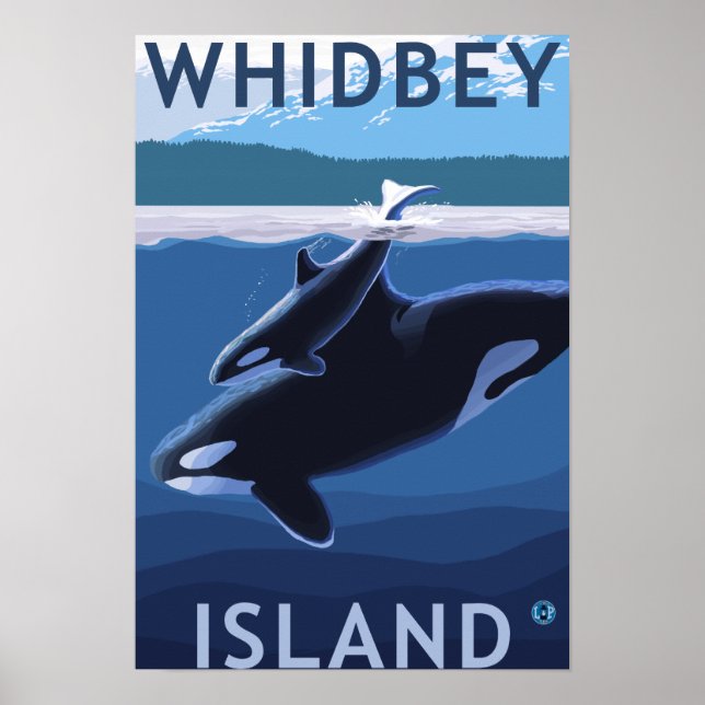 Pôster Whidbey Island, WashingtonOrca and Calf (Frente)