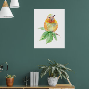 Poster Whimscolor Whimsso Rufous Hummingbird original