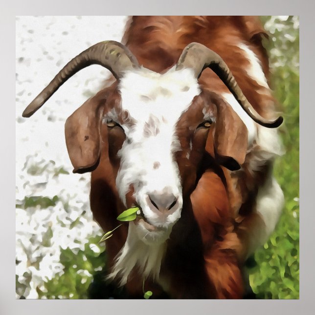Poster Whimsical Artistic Portrait Of A Goat Grazing (Frente)