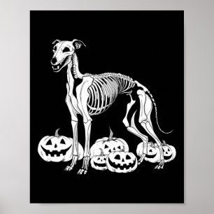 Poster Whippet Skeleton Aniversário Cachorro de Halloween