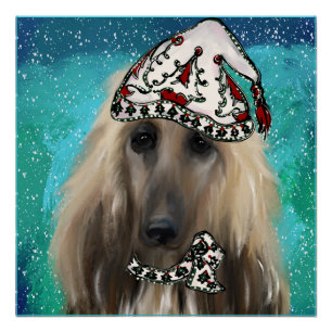 Pôster White Afghan Hound