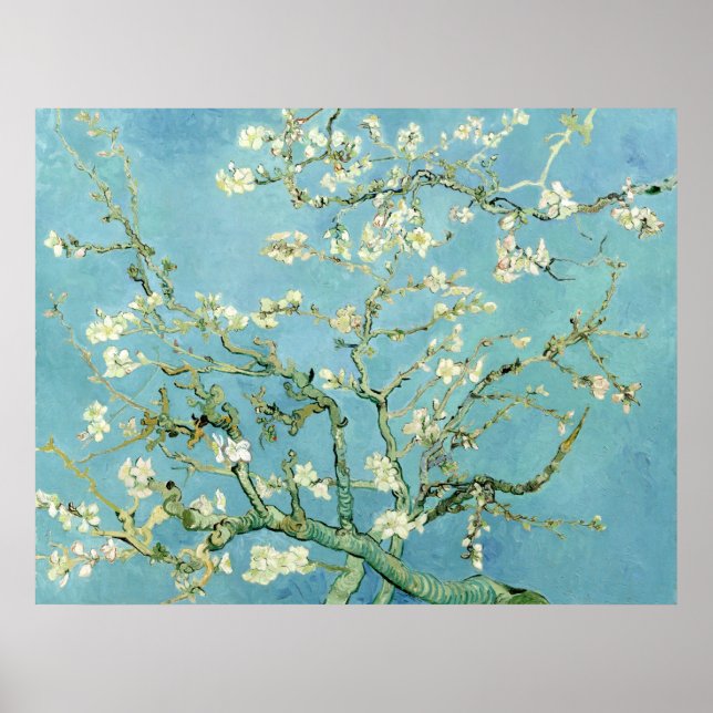 Poster White almond blossom by Vincent Van Gogh (Frente)