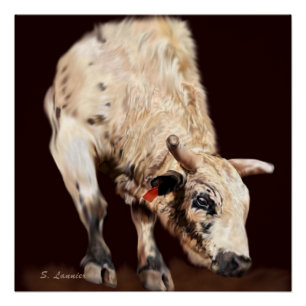 Pôster White Bucking Rodeo Bull