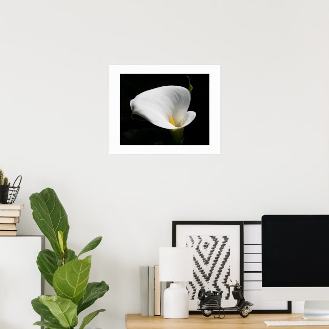 Poster White Calla Lily Floral Fotografia (Escritório em casa)