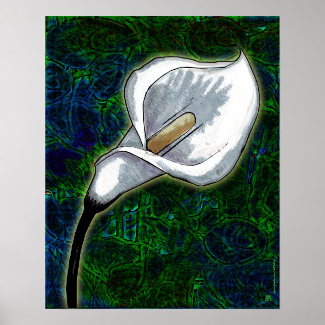 Poster White Calla Lily (Poster Semi-Gloss) (Frente)