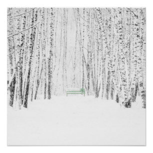 Pôster White Christmas Tale