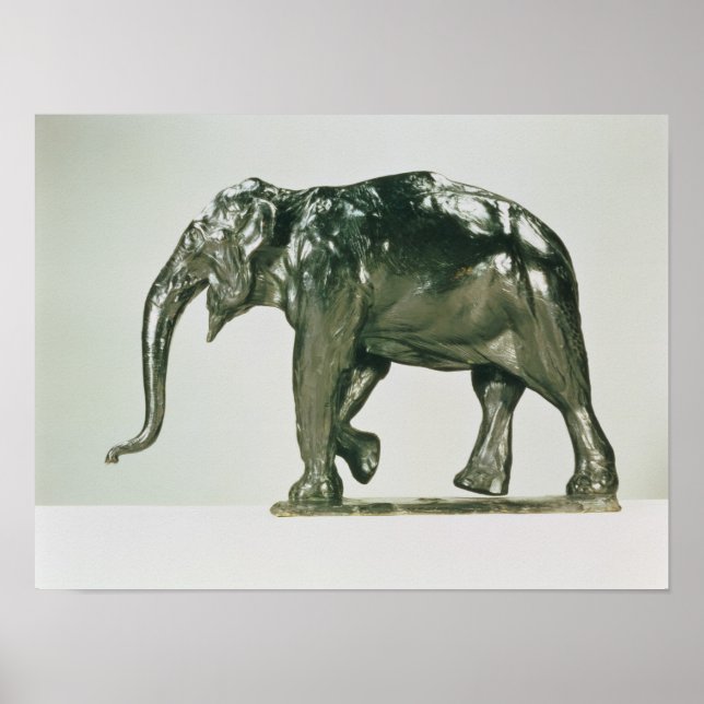 Pôster White Elephant (Frente)