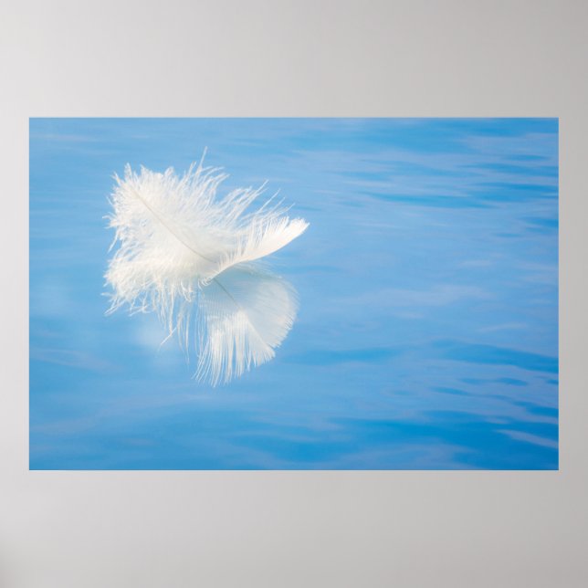 Pôster White Feather Reflects on Water | Seabeck, WA (Frente)