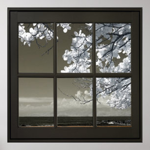 Poster White Flower Blossoms 24x24 Black Faux Window