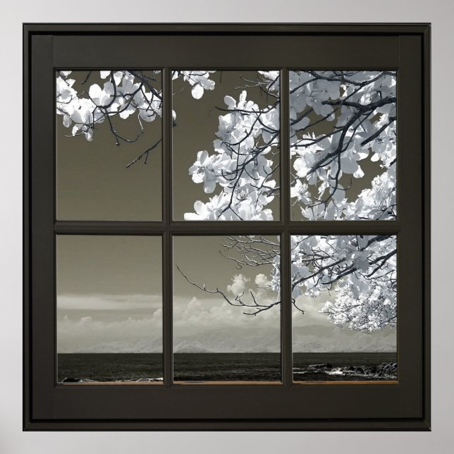 Poster White Flower Blossoms 24x24 Black Faux Window (Frente)