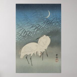 Poster White Herons e Lua, Ohara Koson