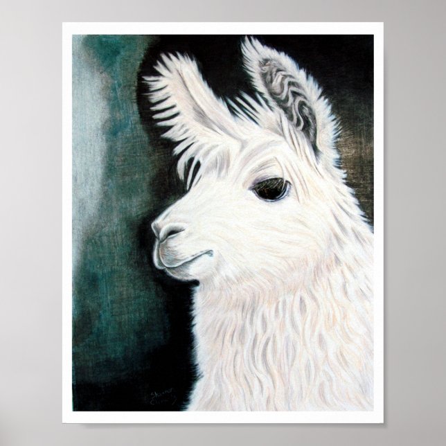 Pôster White Llama (Frente)